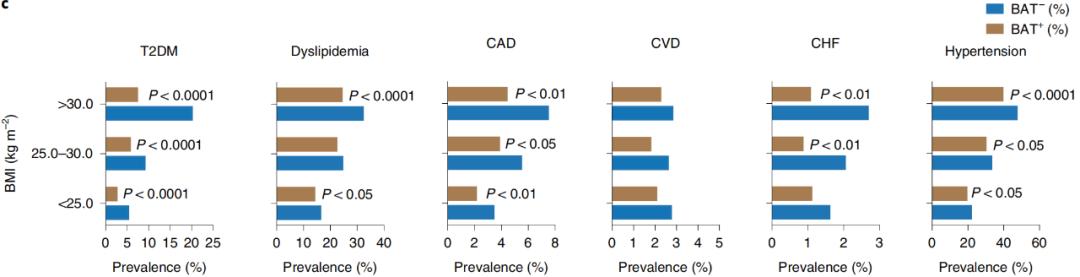 腦疾病最新研究，重塑大腦信心與成就感之路