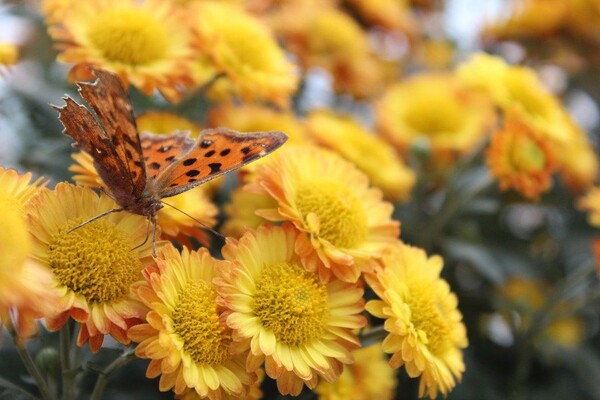 番茄最新作品，用學(xué)習(xí)之鑰，開(kāi)啟自信與成就的大門