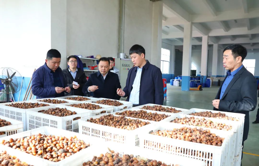 建寧最新新聞，城市溫馨日常與友情力量的展現(xiàn)