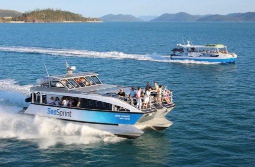 時代背景下的璀璨星辰，最新號號天堂綜述