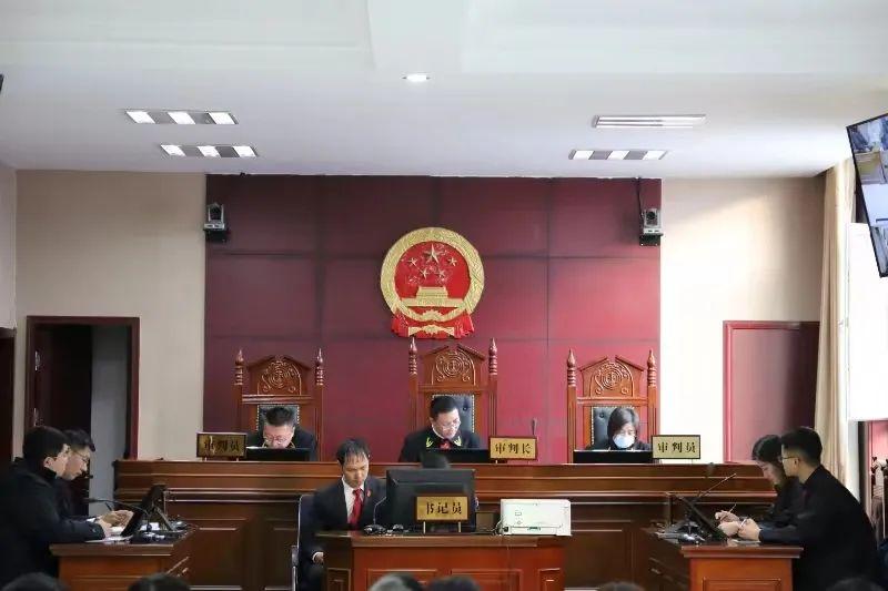 偏關(guān)最新案件深度解析，揭示真相，關(guān)注社會(huì)公正與公平