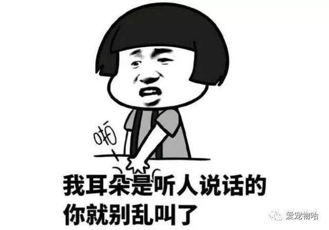 最新枕邊笑話，科技小寶貝，生活添樂趣