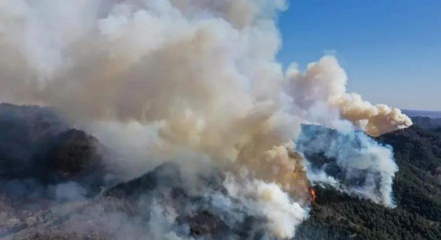 榆社山火防控指南，從初學(xué)者到進階用戶的全步驟學(xué)習(xí)與防火任務(wù)實踐