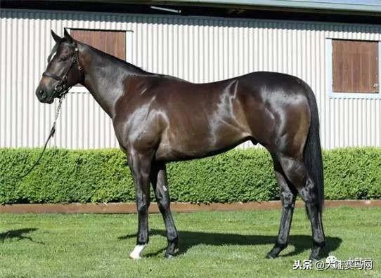 卡拉卡最新指南，任務(wù)完成與技能學(xué)習(xí)步驟攻略