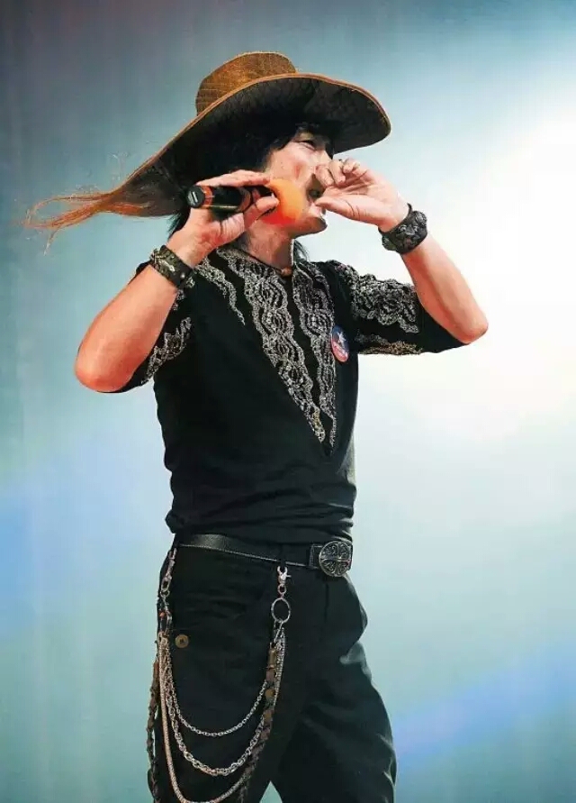 指哨最新，自然美景之旅，探尋內(nèi)心平靜與喜悅的旅程