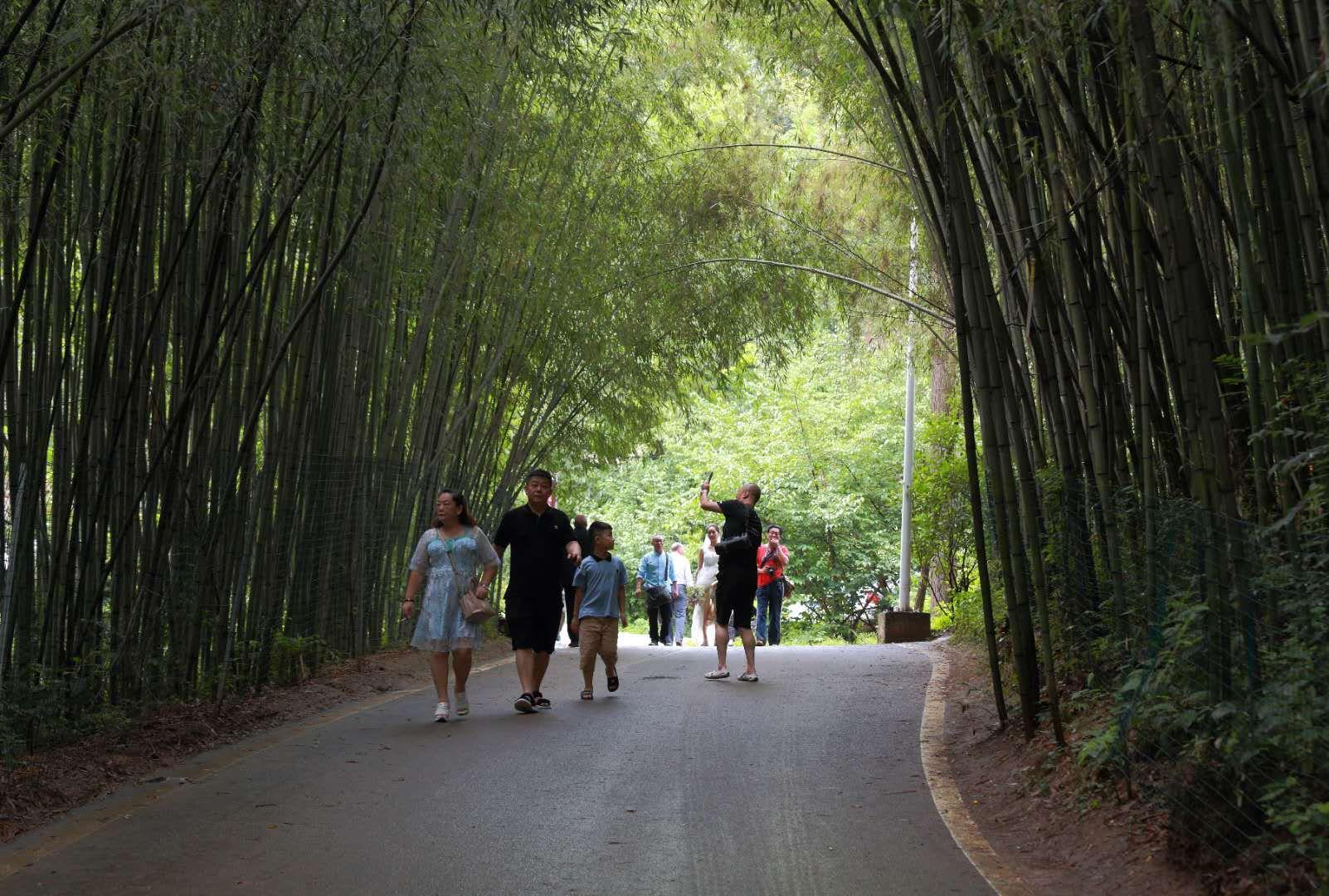 全家最新優(yōu)惠攻略，一步步教你享受最大優(yōu)惠折扣！