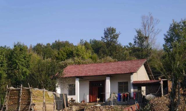 新時代田園生活揭秘，鄉(xiāng)村農(nóng)村的最新風貌與體驗