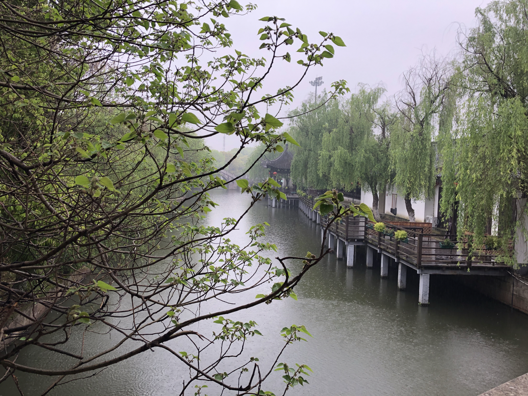 江南煙雨最新，自信與成就感的成長(zhǎng)之旅