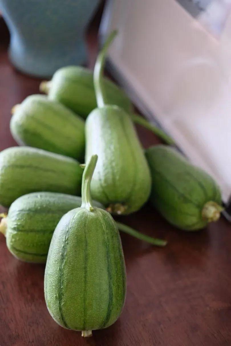 蘋果絲瓜最新版，全新升級(jí)魅力體驗(yàn)