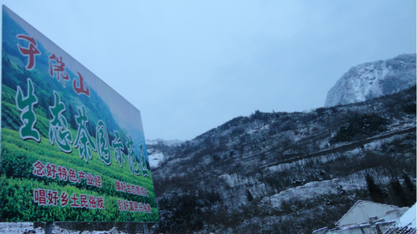 千佛山綿陽(yáng)最新探索，巷弄深處的獨(dú)特風(fēng)味之旅