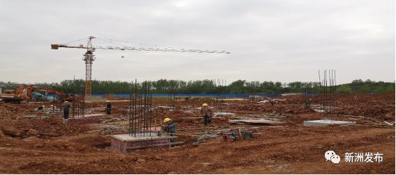 返漢最新政策及其步驟指南