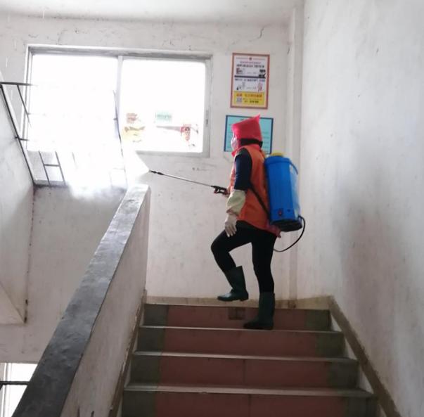 蓬江區(qū)最新高科技住宅，重塑未來生活體驗的首選之地