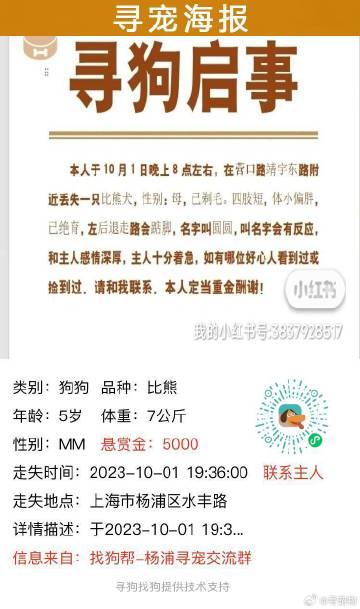 上海狗狗領養(yǎng)最新資訊