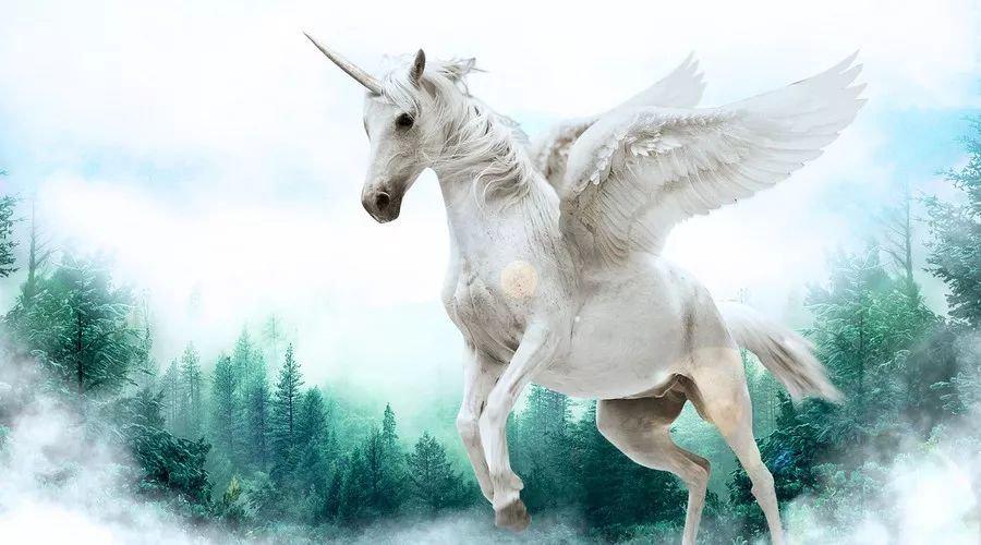 中國最新獨(dú)角獸，自信與成就感的源泉